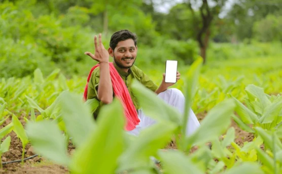 फ्री रिचार्ज: जानें कैसे मोबाइल बैलेंस बढ़ाएं - 1097